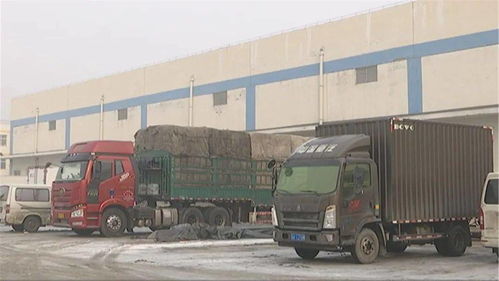 春節(jié)期間市場供應(yīng)保障 食用農(nóng)產(chǎn)品批發(fā)平穩(wěn)運(yùn)行